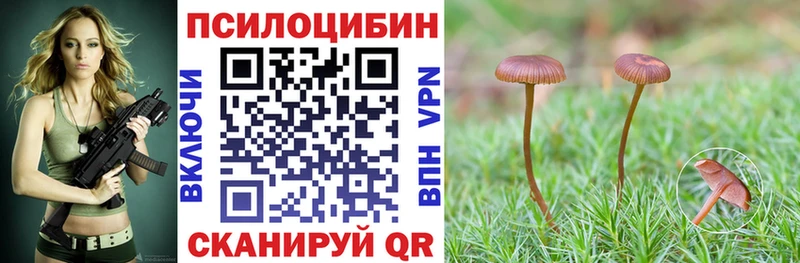 Псилоцибиновые грибы Psilocybine cubensis магазин наркотиков Кочубеевское